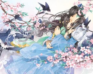 深入了解 蘑菇Tv成版入口电脑版